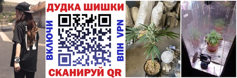 Конопля Майский