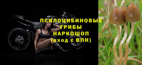 синтетический гашиш Киреевск